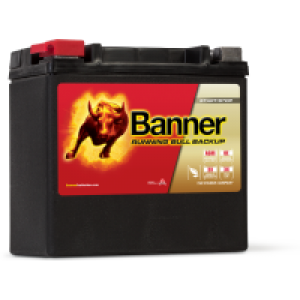 Running Bull BackUp